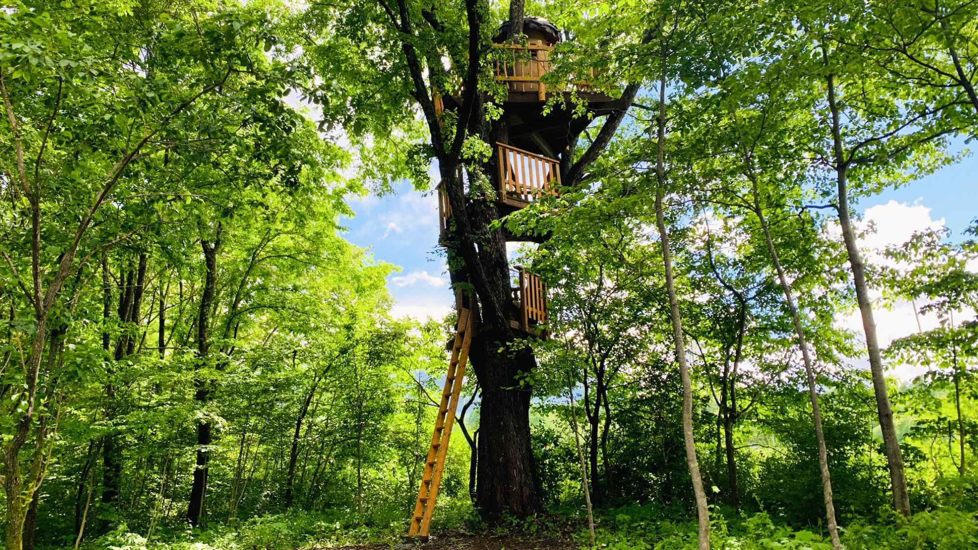 【3連泊】★連泊割★大自然に囲まれた貸切別荘で家族や仲間と共にゆったりとした時間を♪