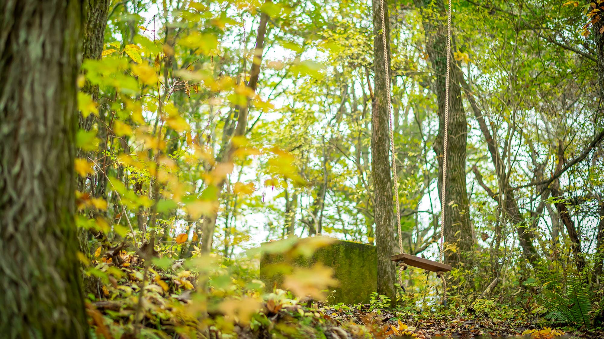 ・【ブランコ】森の中で風に揺られながら楽しい時間をお過ごしください