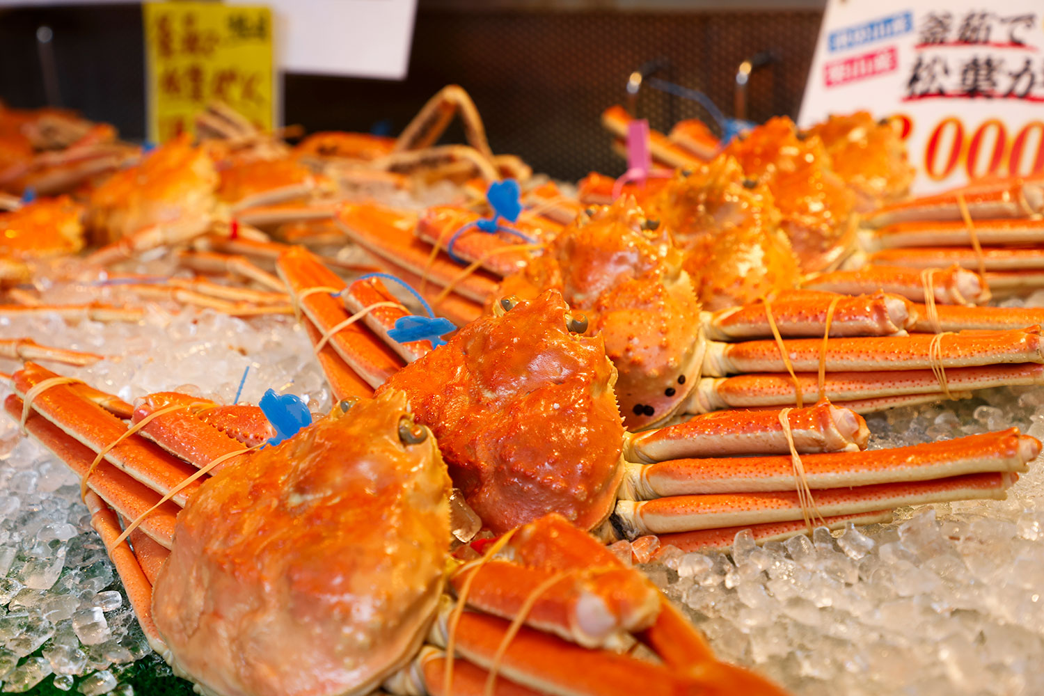 松葉ガニや鍋用のズワイガニを買って旅宿YaDOKARIで食べられます♪※11月上旬から3月末のみ営業