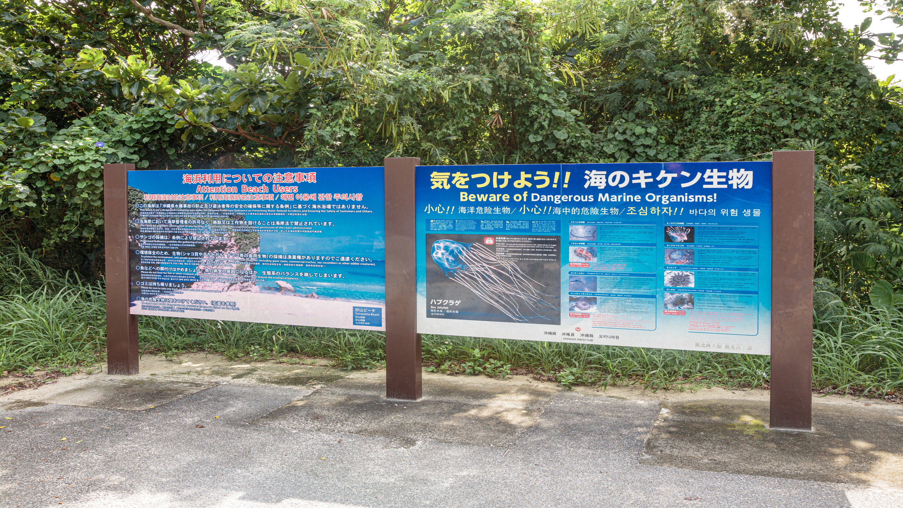 海の危険生物についてはご確認ください。
