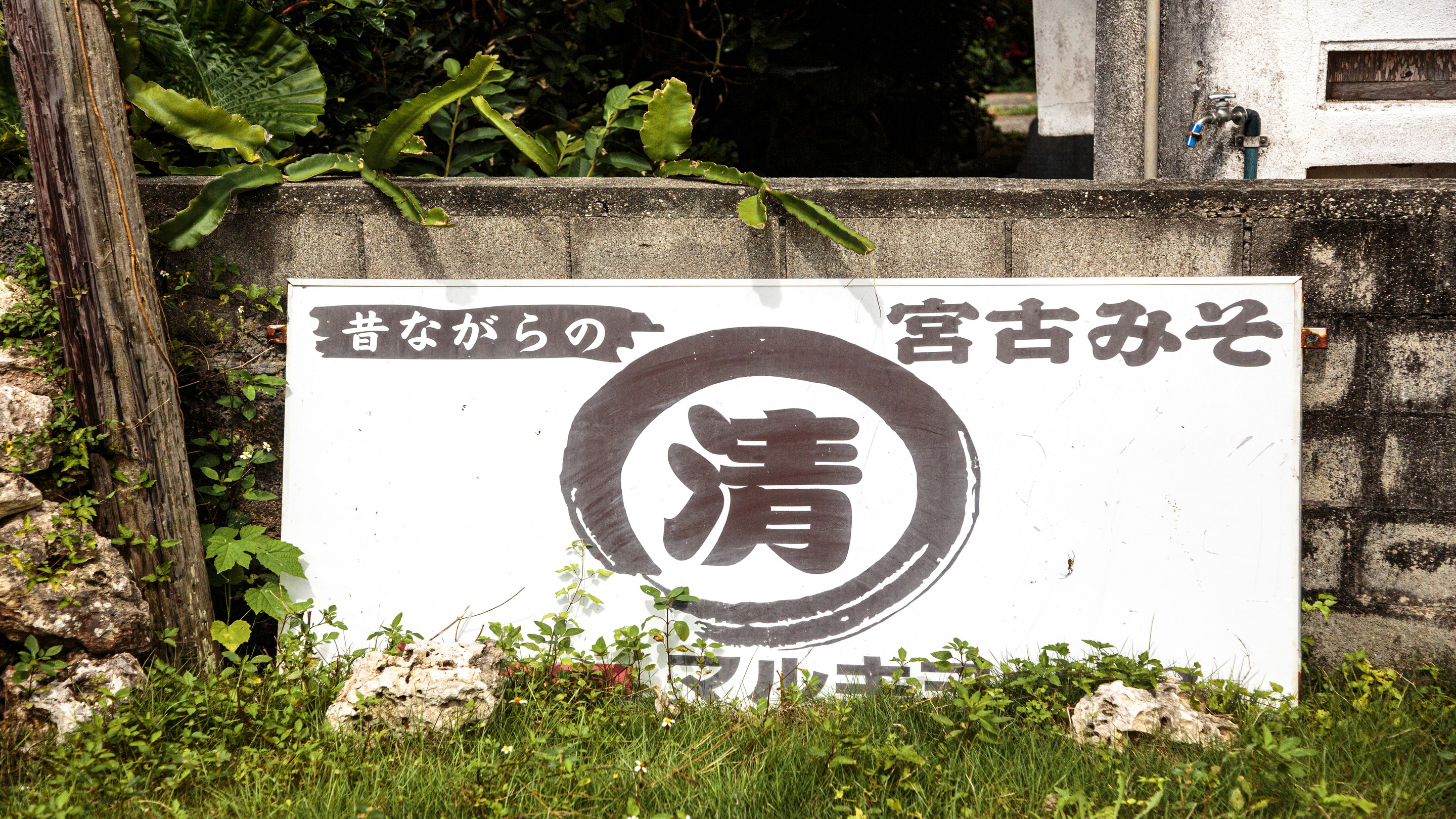 宮古島のお土産に「マルキヨ味噌」
