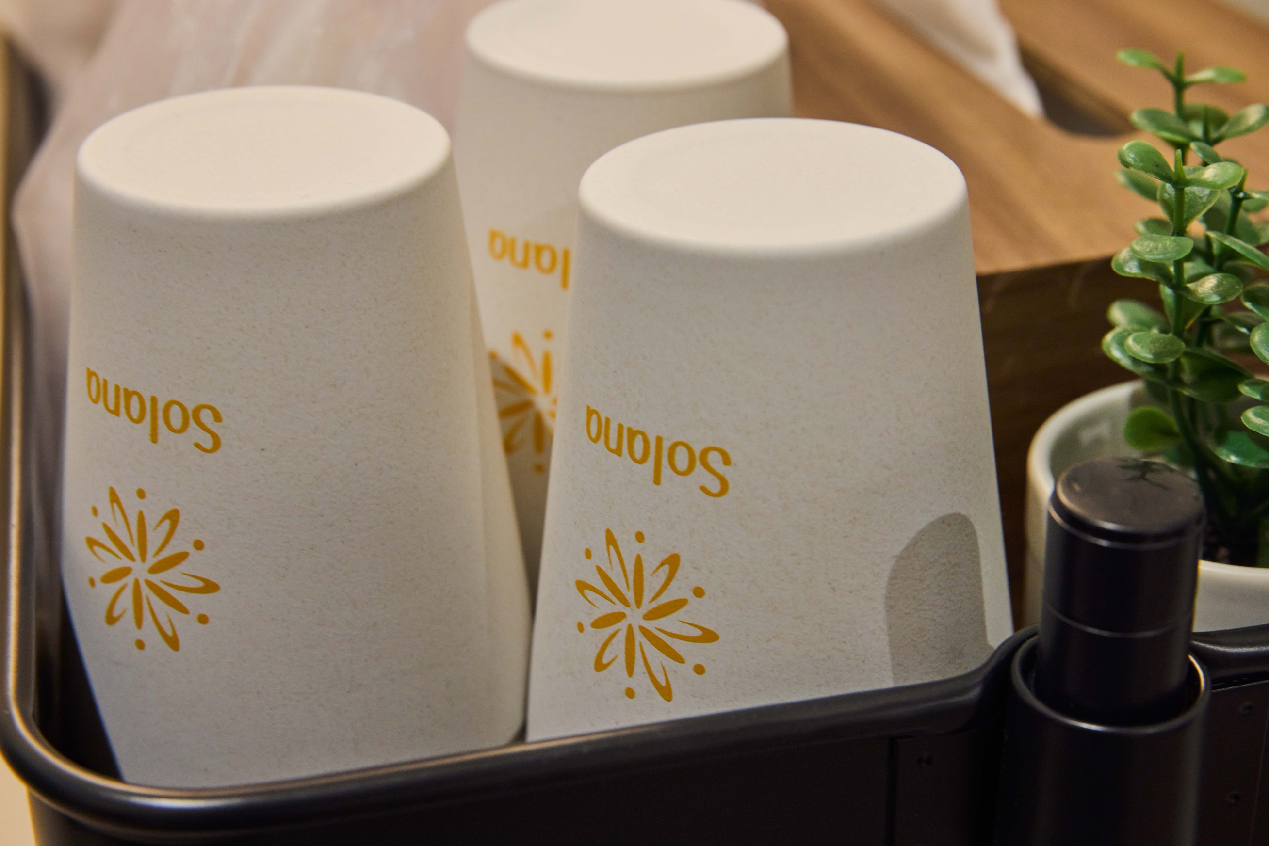 【添い寝無料】楽天トラベル限定プラン☆1棟料金 / ペット料金無料 / BBQグリル付 / 素泊まり