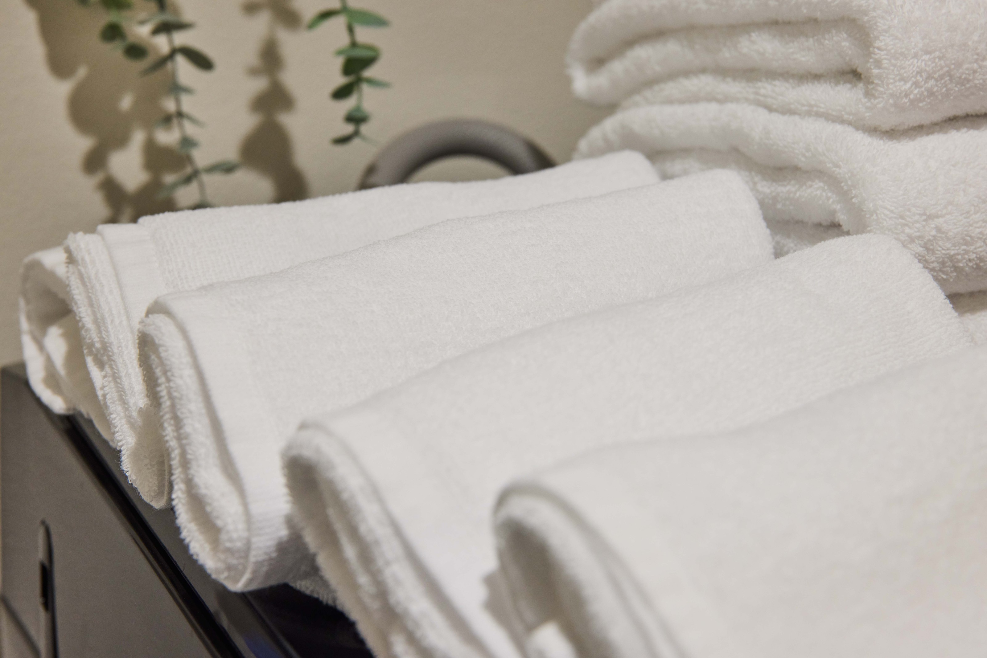 【添い寝無料】楽天トラベル限定プラン☆1棟料金 / ペット料金無料 / BBQグリル付 / 素泊まり