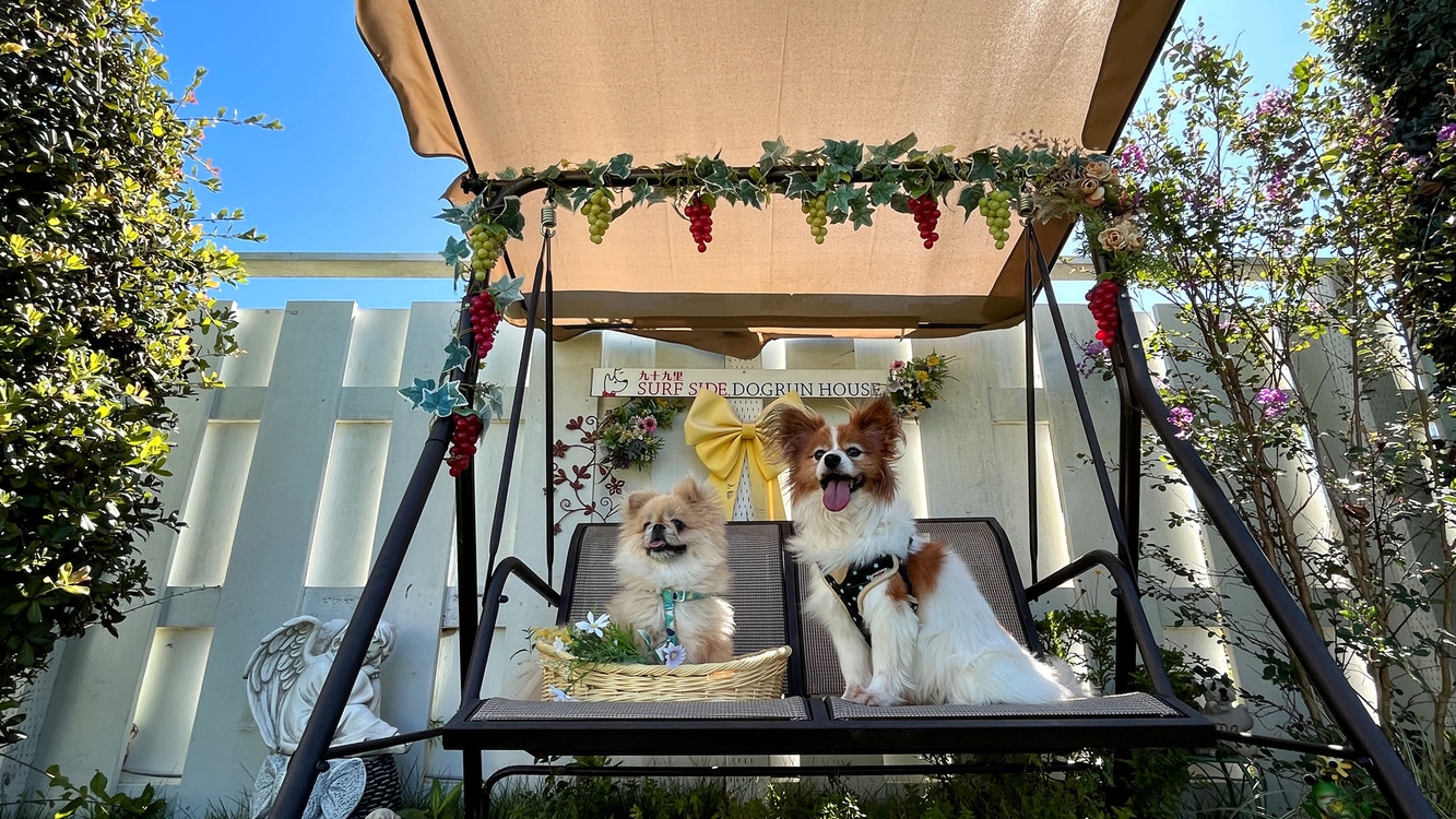 愛犬とリゾート旅プライベートガーデン付きラグジュアリーなリゾートVillaでのんびりステイ 素泊まり