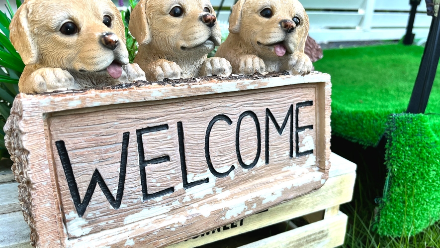 White◇小型犬から大型犬までWELCOME♪