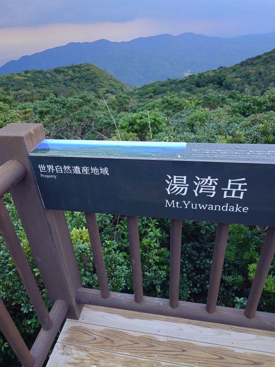 奄美最高峰　湯湾岳