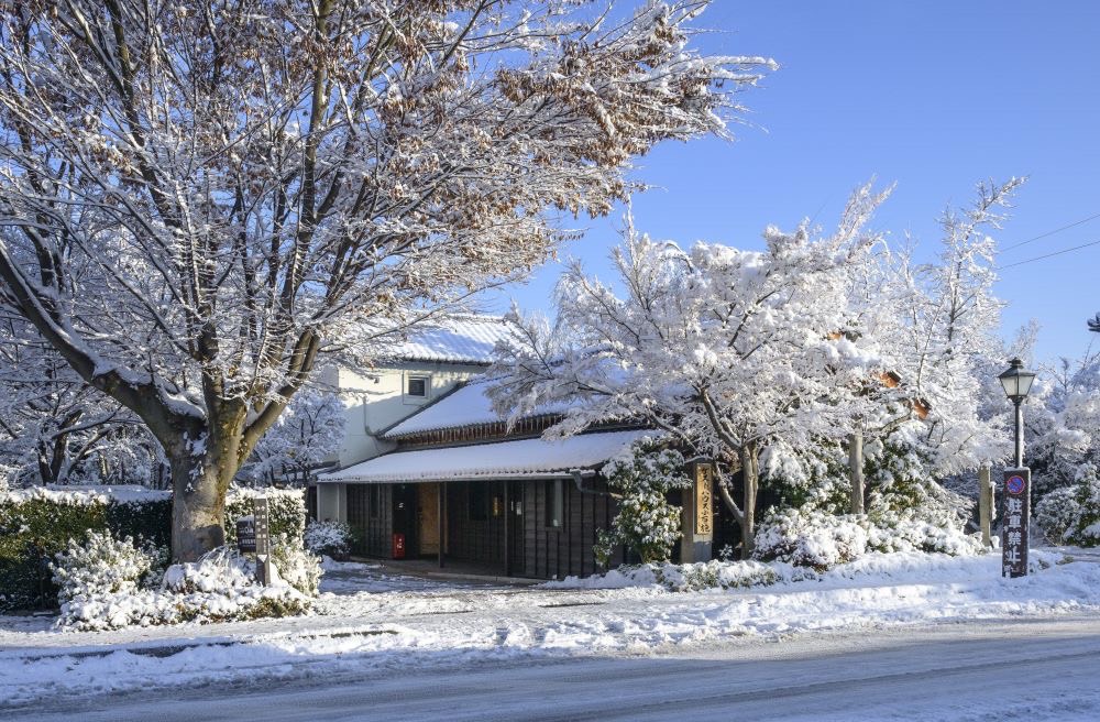 冬の外観