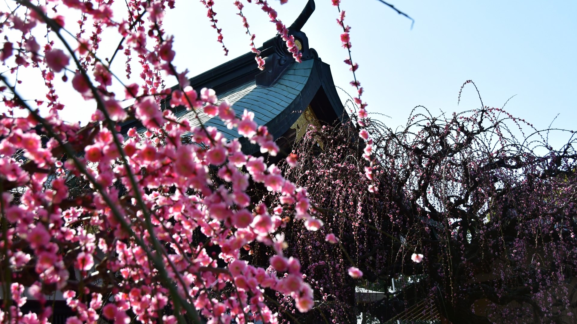 結城神社