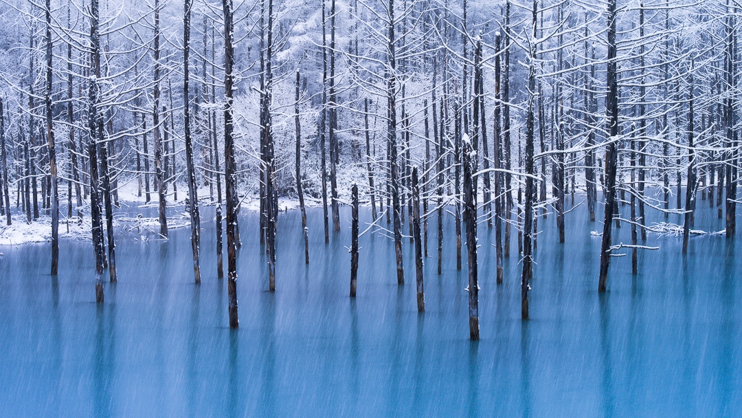 【秋冬SALE】大人も子供も大満足！充実の施設★ジム・大浴場・サウナ・キッズルーム＜朝食付＞