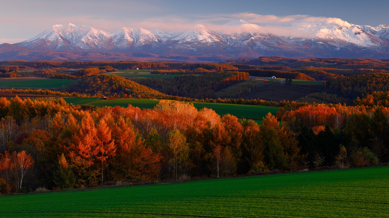【お部屋は無料アップグレード】11月は特別な富良野を、あなたに〜＜朝食付＞