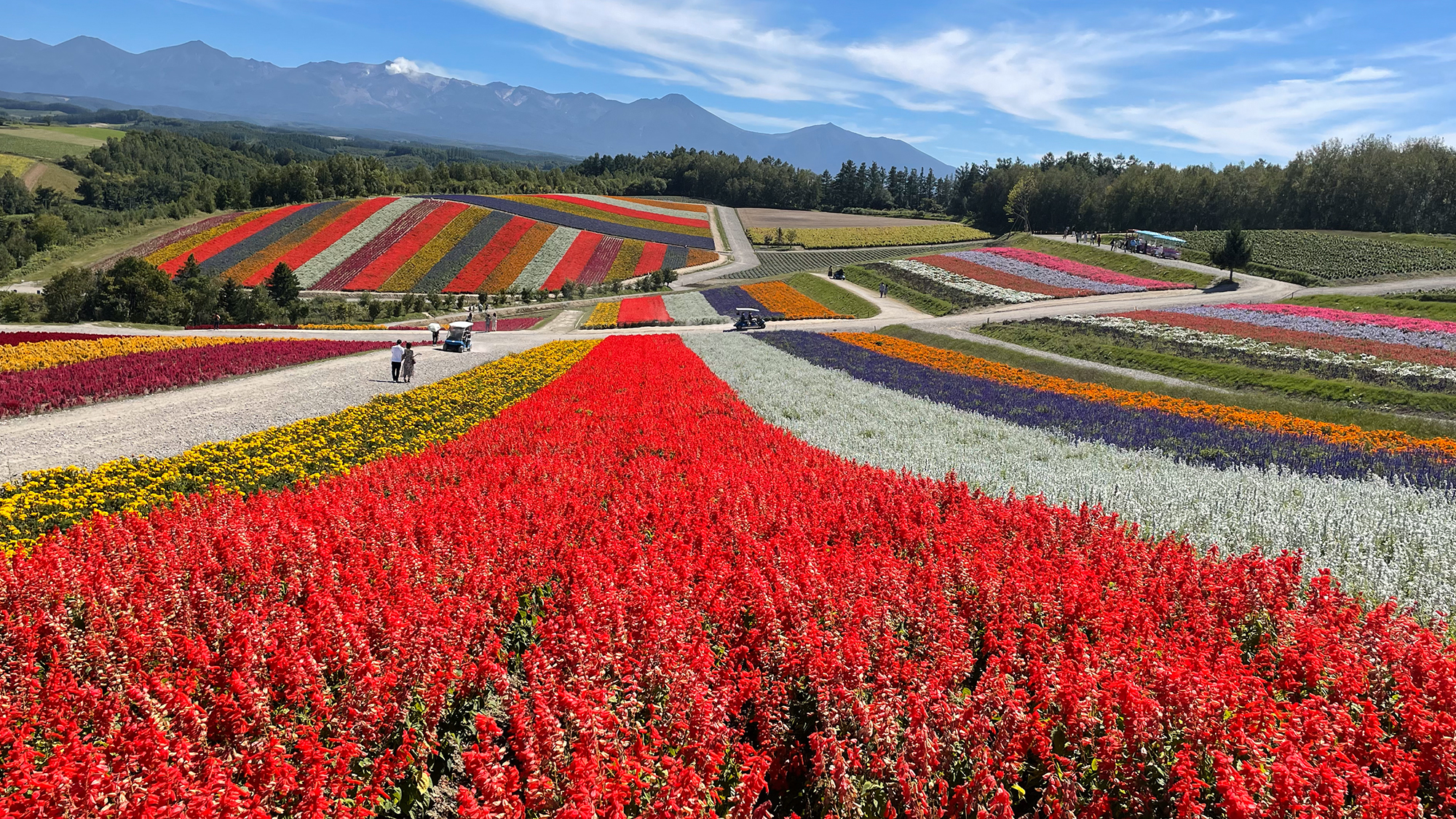 富良野風景