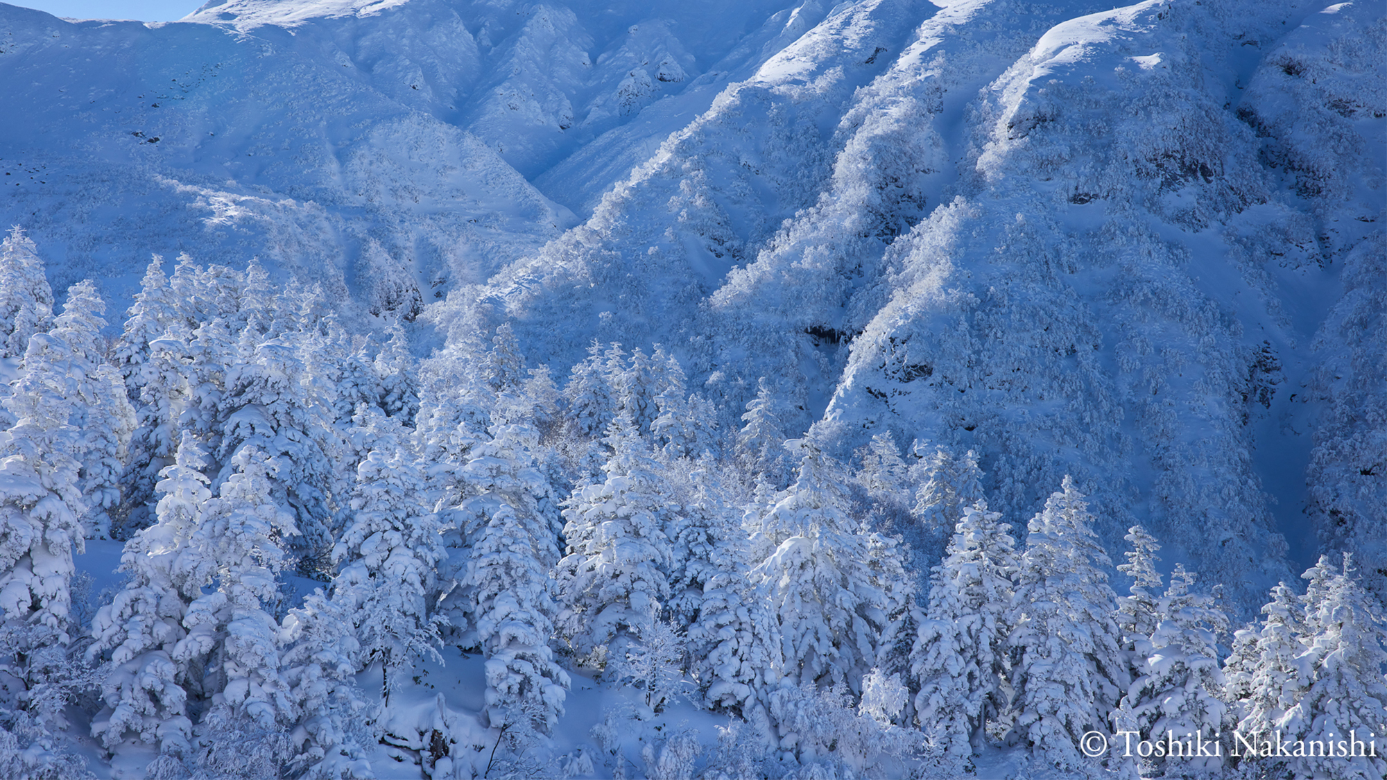 富良野風景