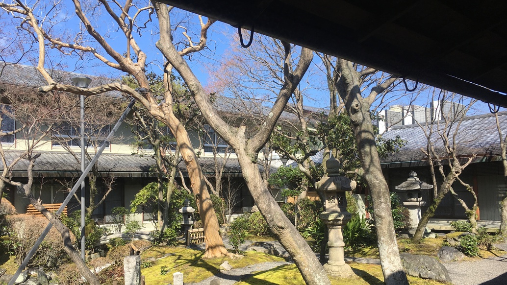 【日帰り・昼食付】冬の昼御膳「京花御膳」プラン