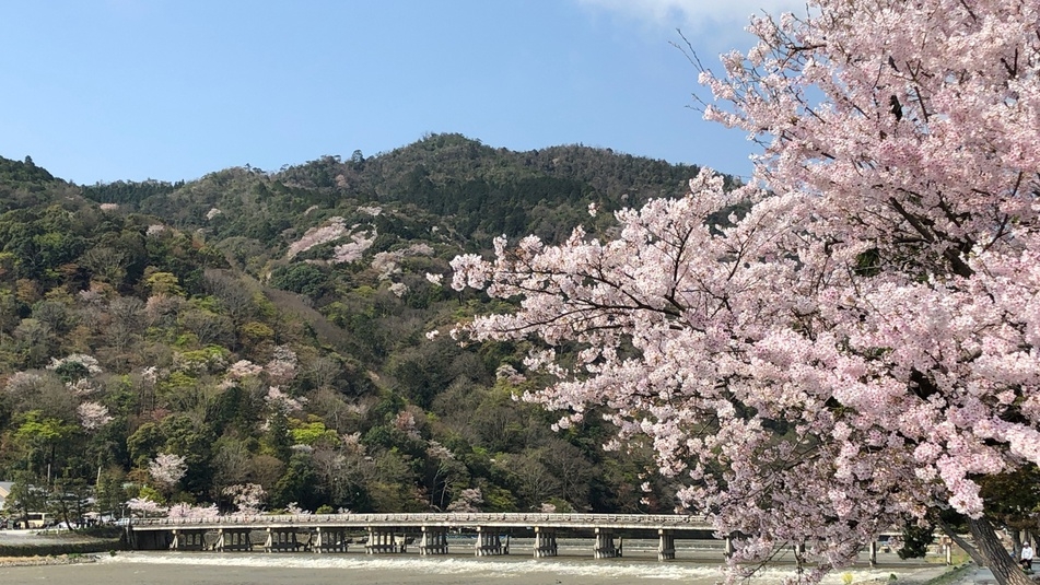 【春の旬を堪能】春の華やぎ京会席プラン