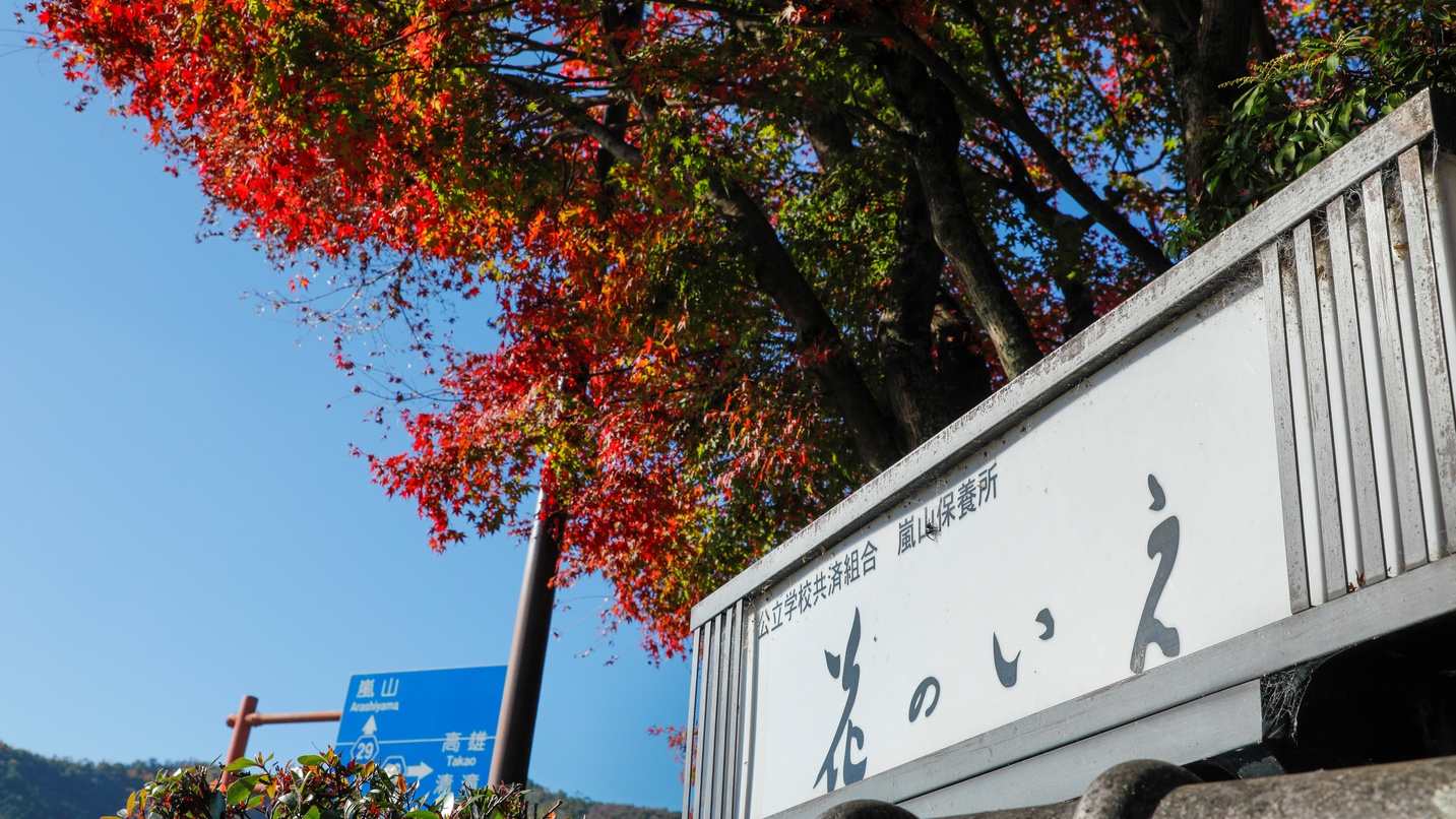 京都嵐山 花のいえ 日帰り デイユースプラン一覧 楽天トラベル