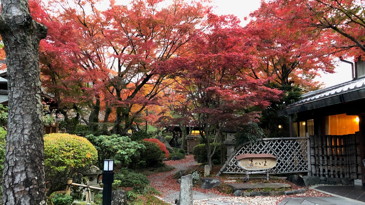 庭の紅葉