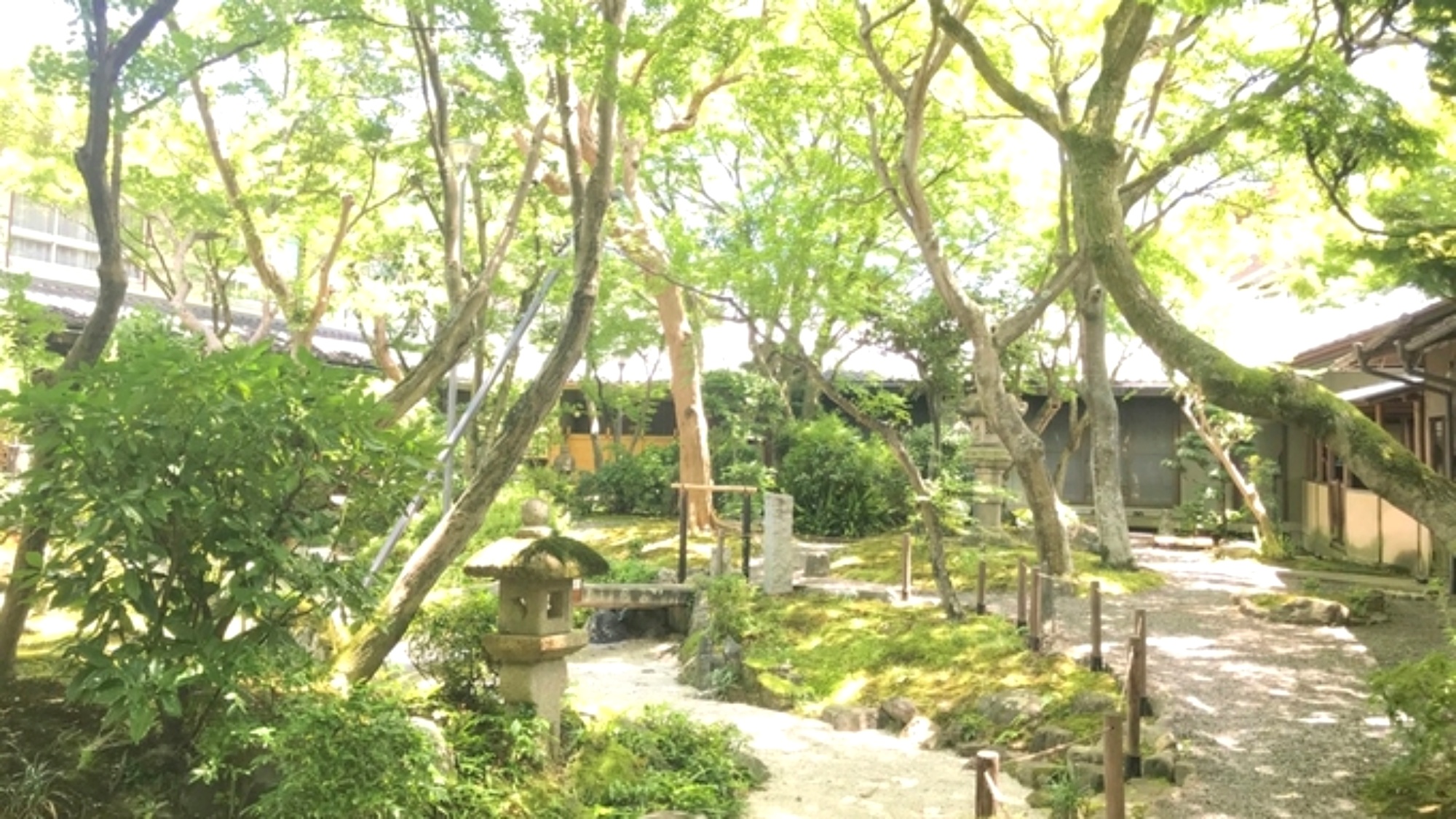 中庭園（夏）