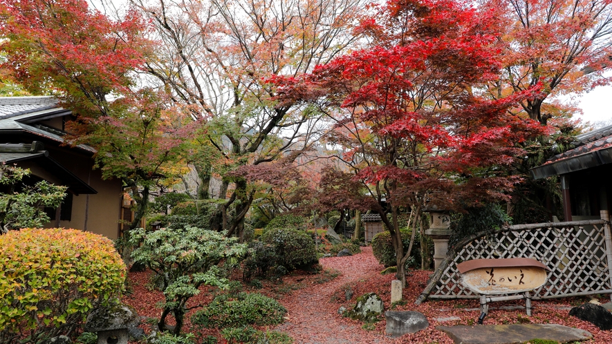 紅葉に彩られた中庭風景
