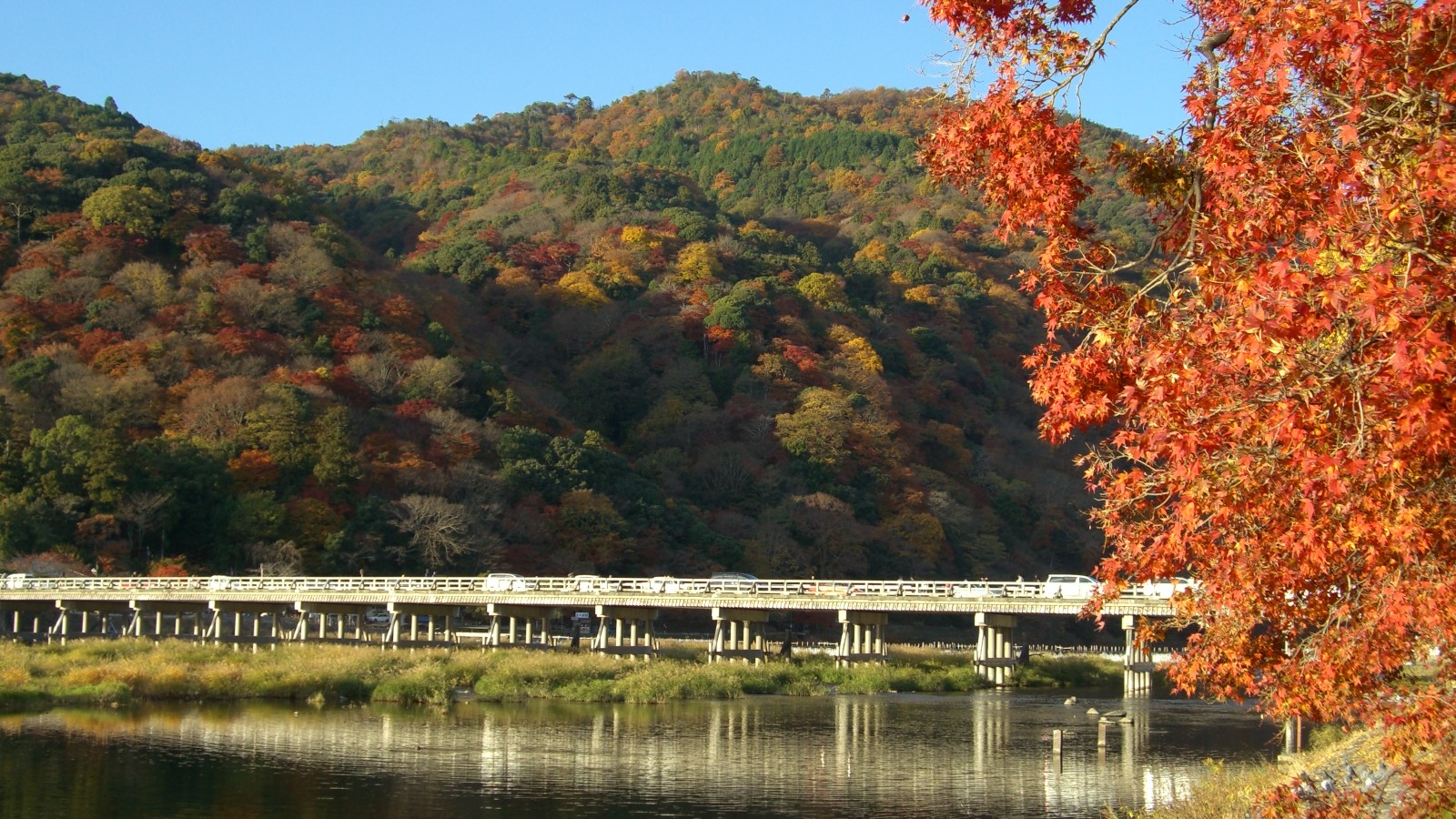 秋の渡月橋