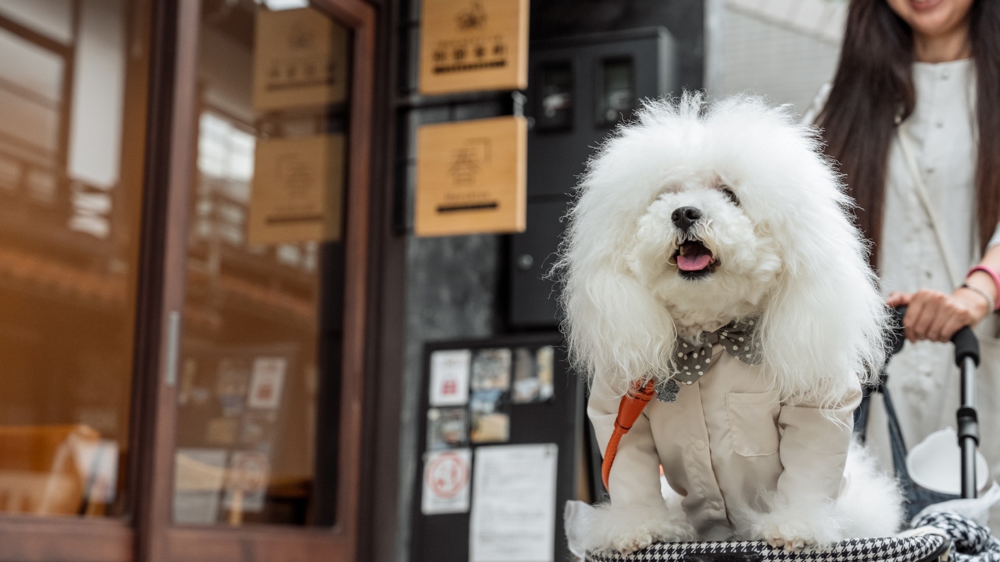 【愛犬と一緒に山陰旅】日常から離れてモダンな古民家でリラックス【素泊まり】