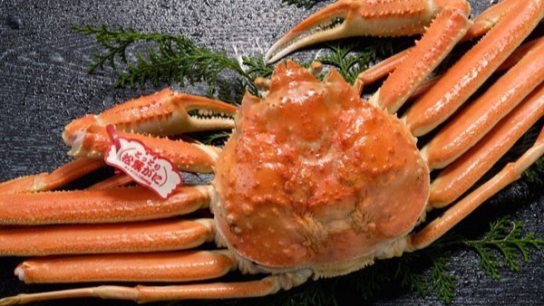 〈夕食付〉松葉ガニのフルコースプラン〜愛犬と一緒に山陰旅〜（期間限定3/6まで）