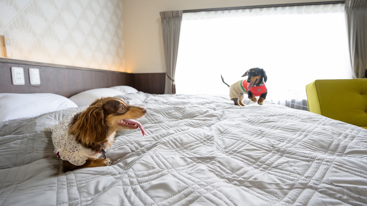 【別邸新町】〈夕食付〉12種類の餠しゃぶと選べる山陰鍋プラン《お部屋食》