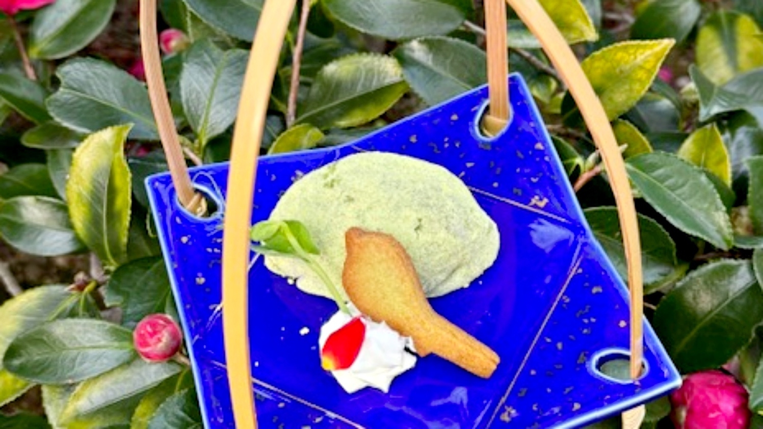 【豊臣兄弟！放送記念】秀長さん！〜郡山城跡を巡る旅〜【第2弾】★完売必至！秀長公限定切り絵御城印付