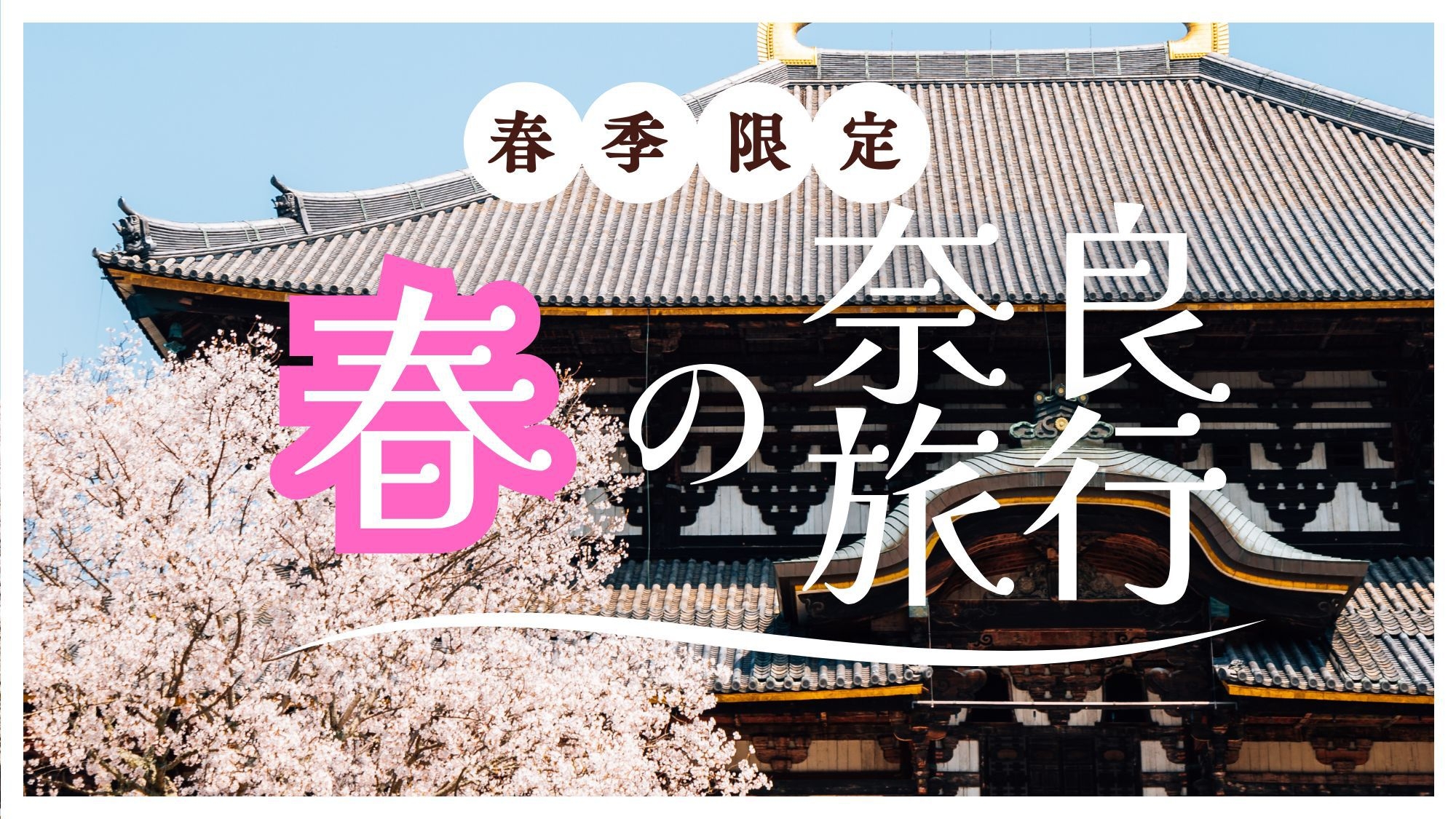 【春季限定】奈良旅行グルメ宿泊プラン【特製大和抹茶ティラミスWAKAKUSA付】＜2食付き＞