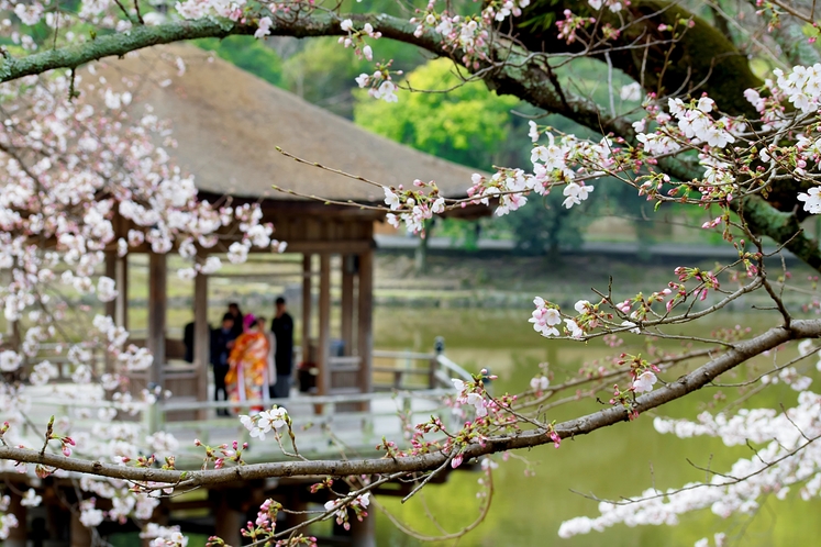 奈良公園　浮御堂　イメージ　