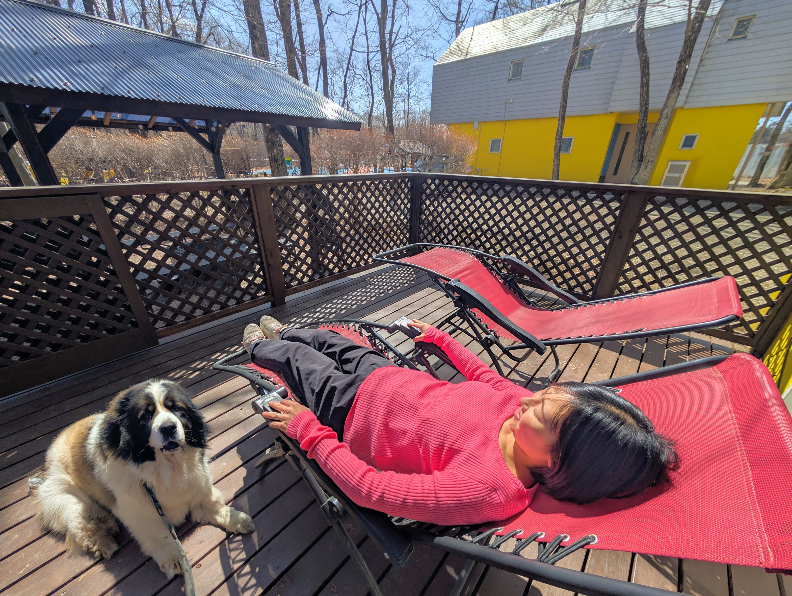 ウッドデッキは柵あり！ワンちゃんとゆっくりできます！