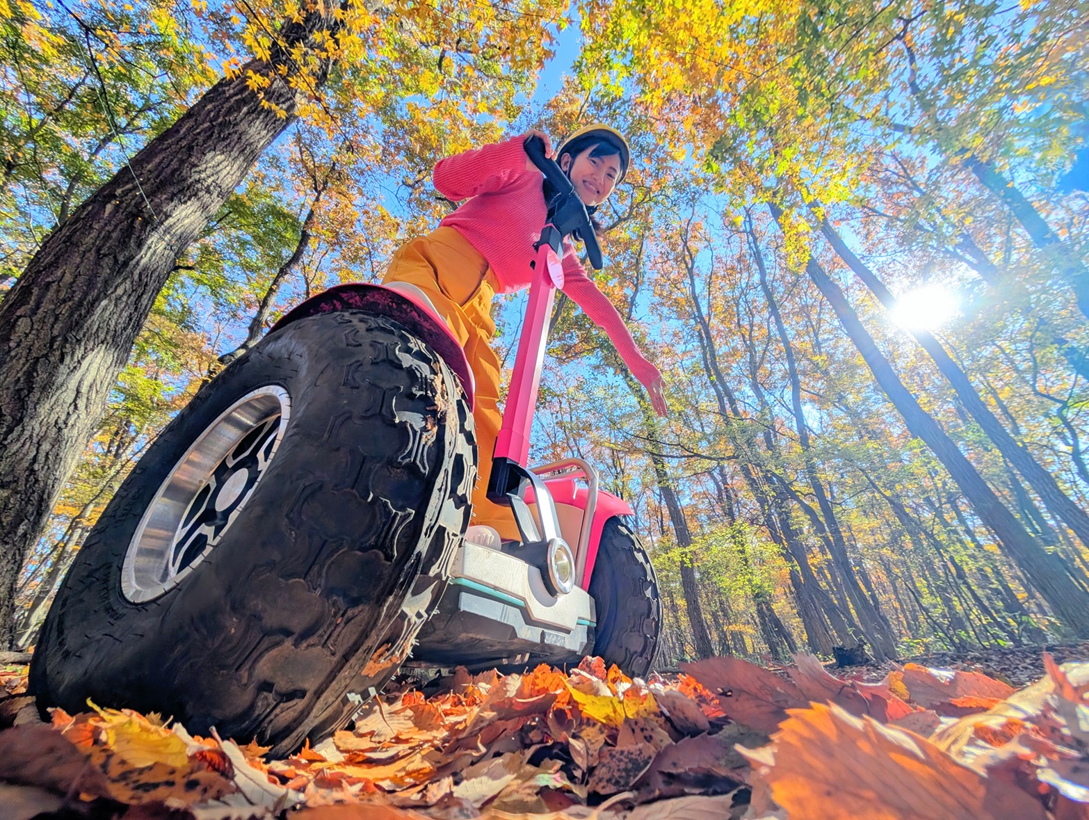 紅葉を楽しみながら森を駆け巡る