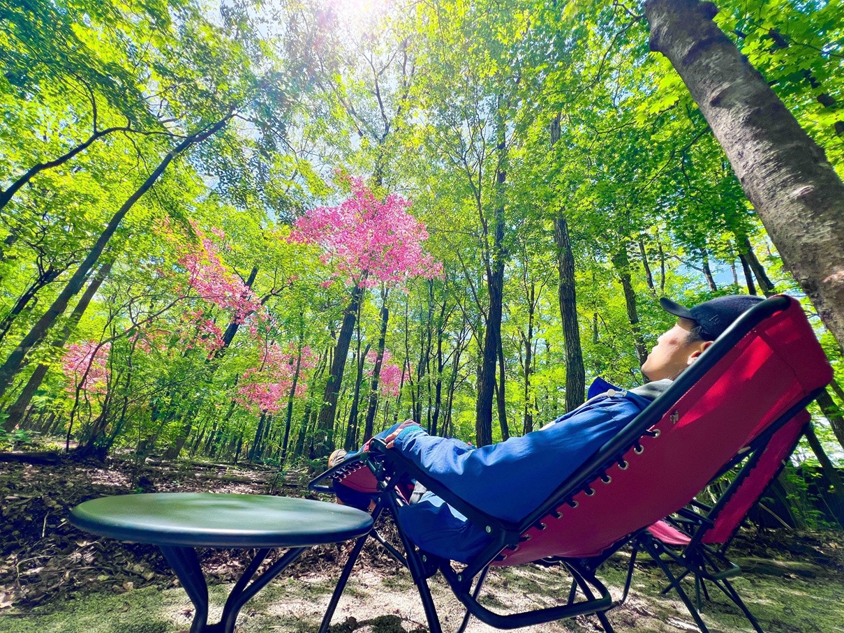 フォレスト・チェアリング