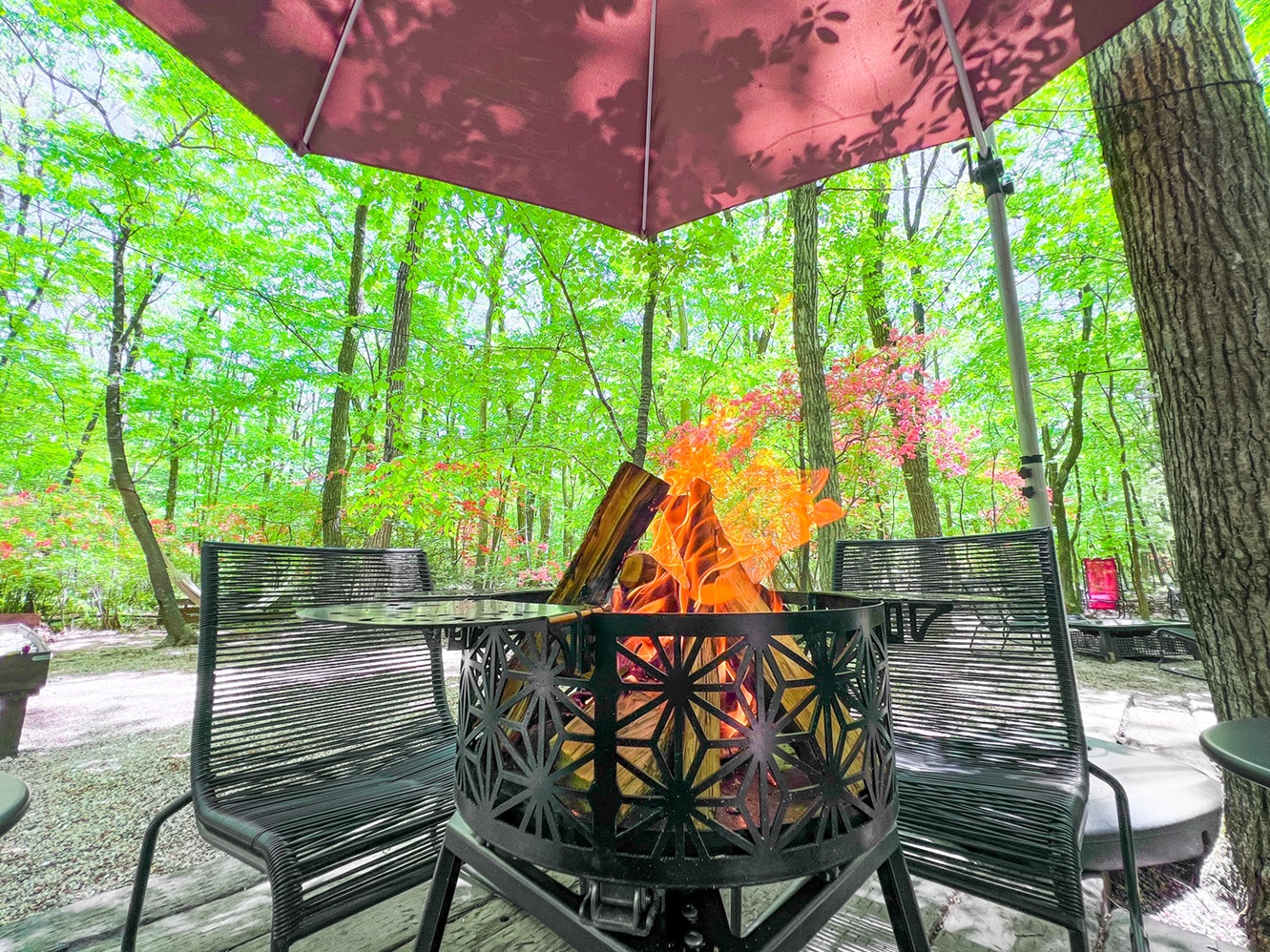 ボン・ファイアリング