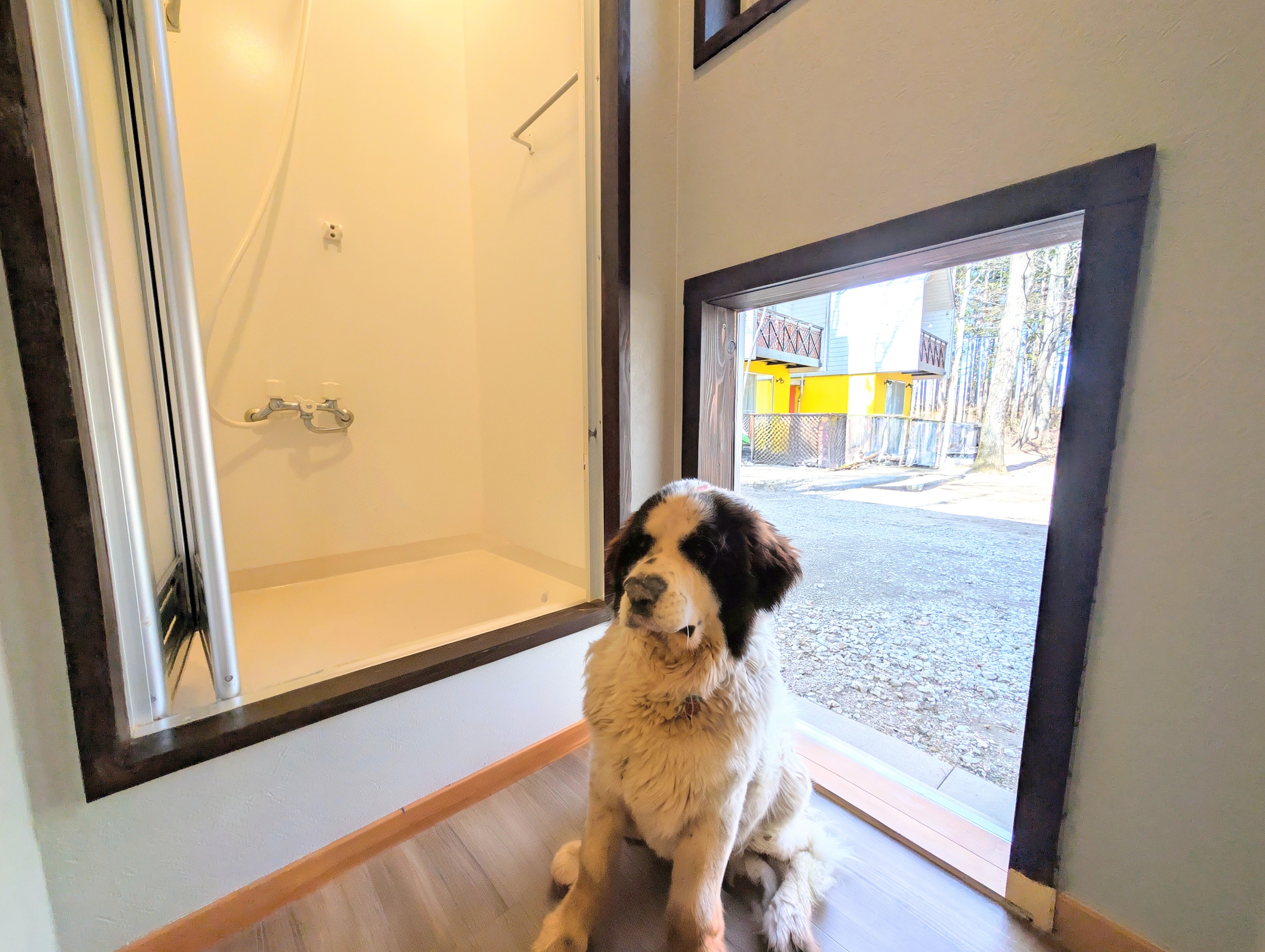 専用のワンちゃんドアから入ると、屋内足洗い場がすぐあります！温水も出るうれしい仕様♪