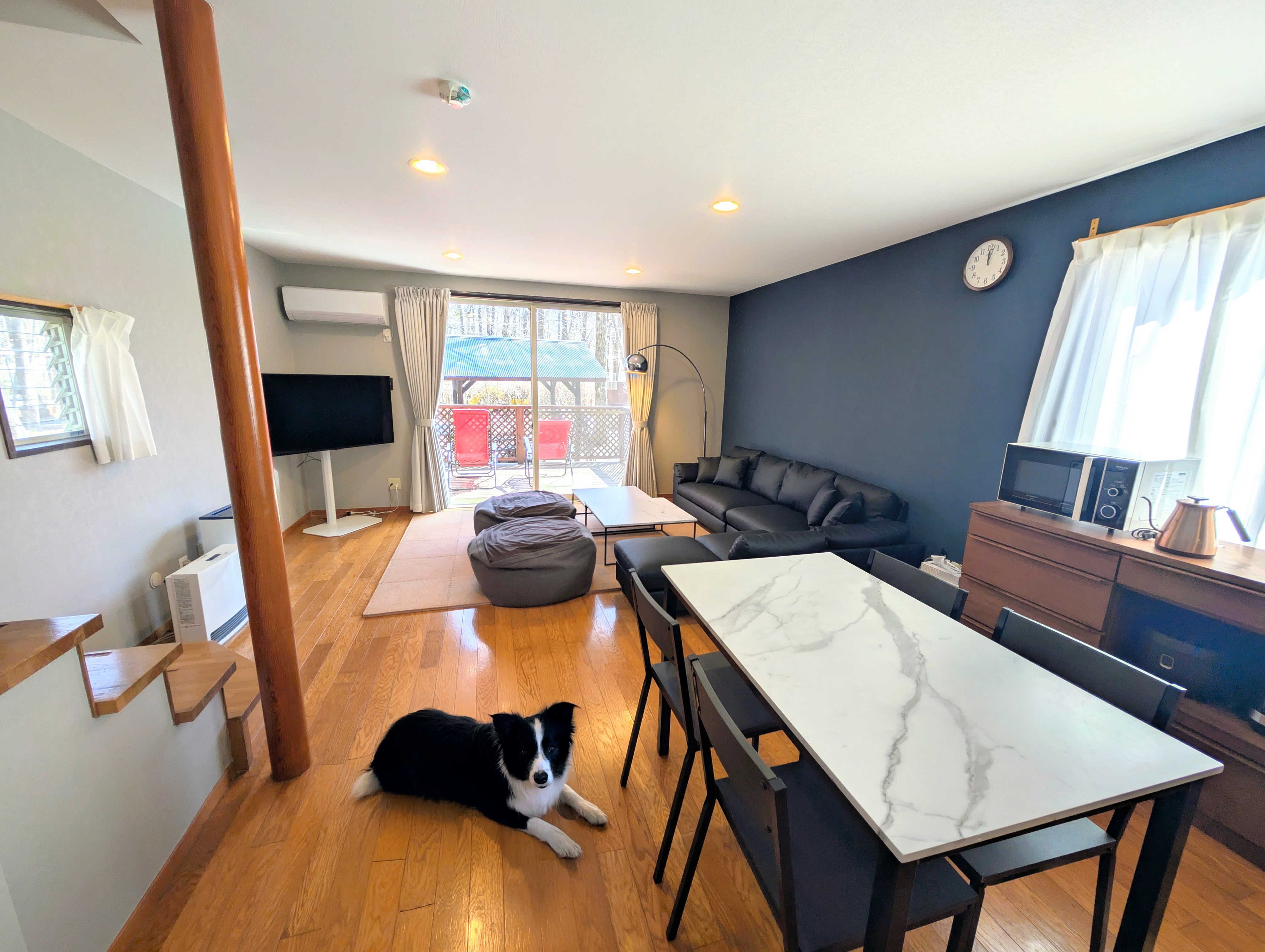 ワンちゃんと一緒にリビングでお過ごしいただくことができます！