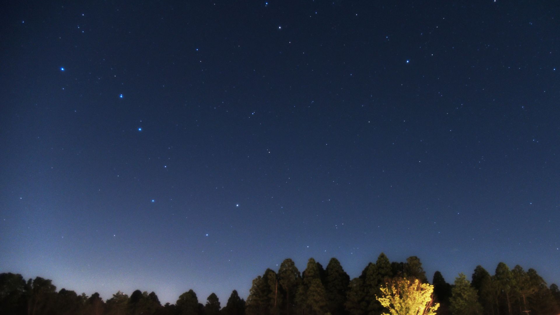 THE FARMだから見える星空