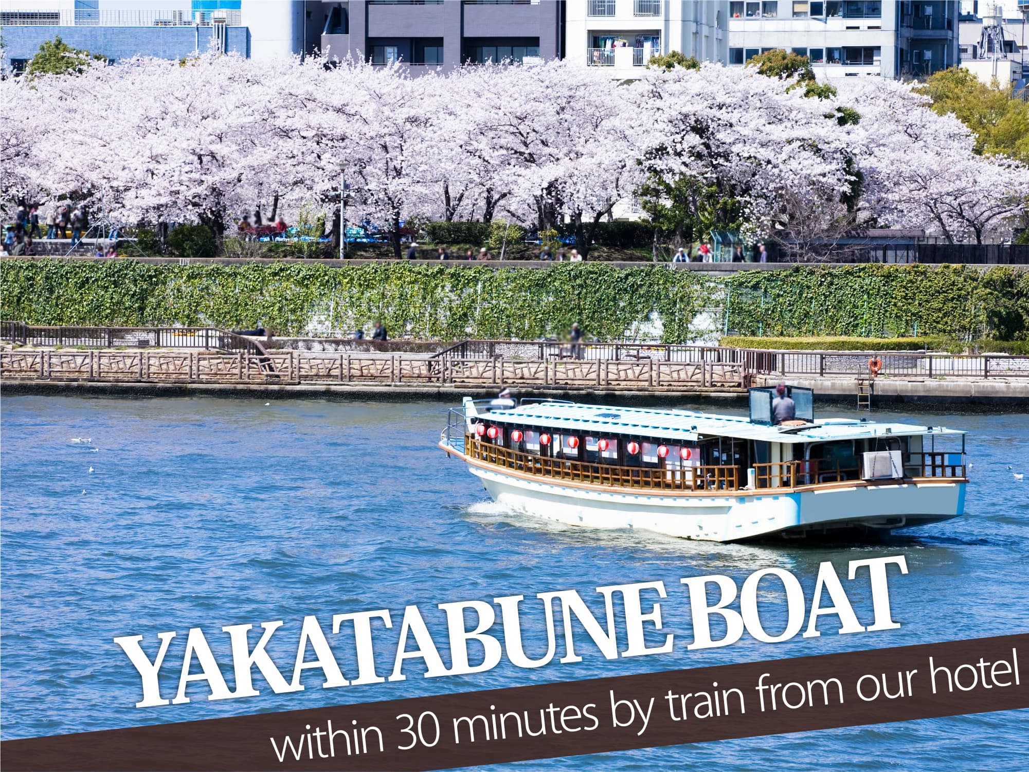 Yakatabune Boat（屋形船）