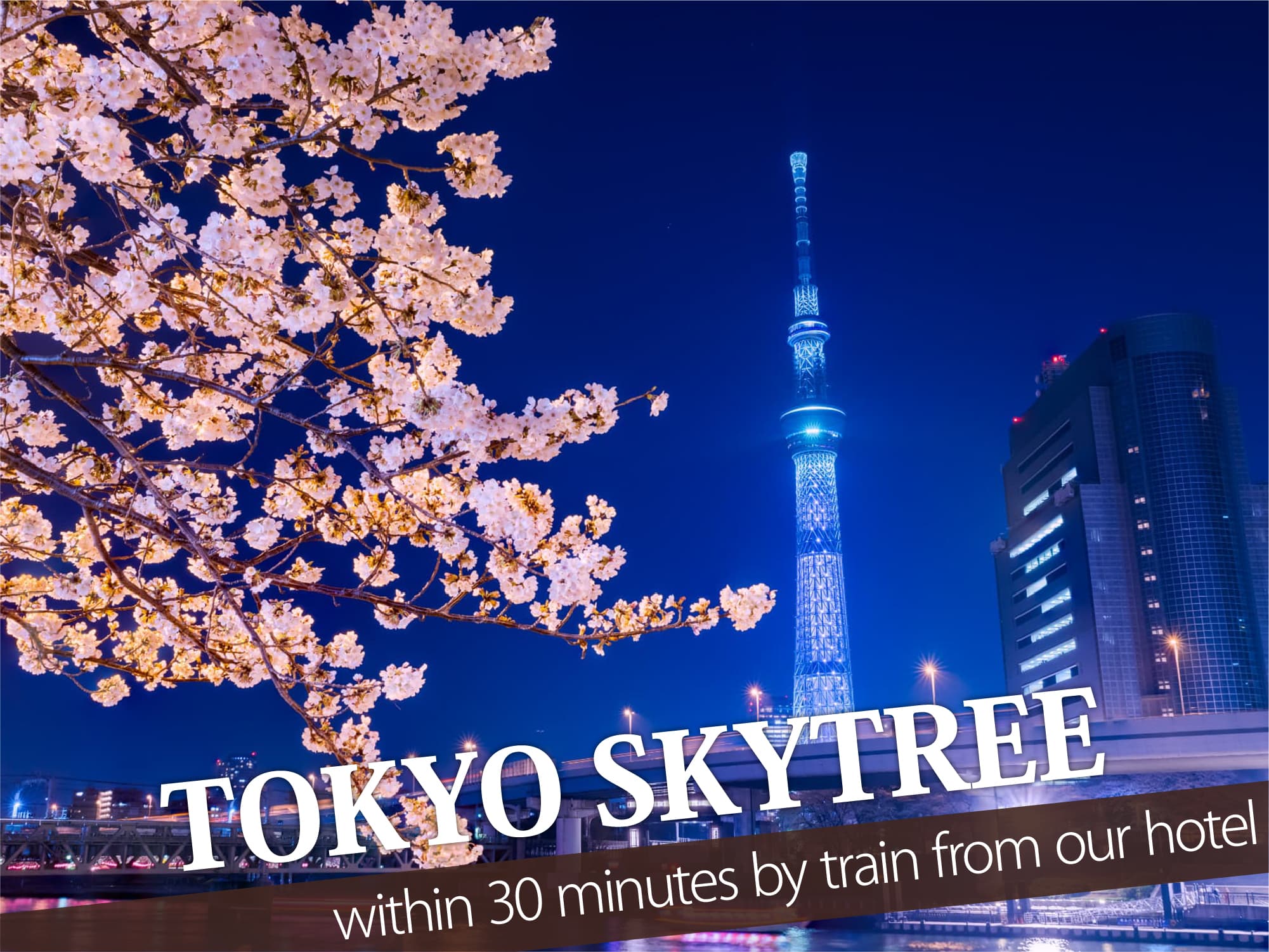 Tokyo Skytree（東京スカイツリー）