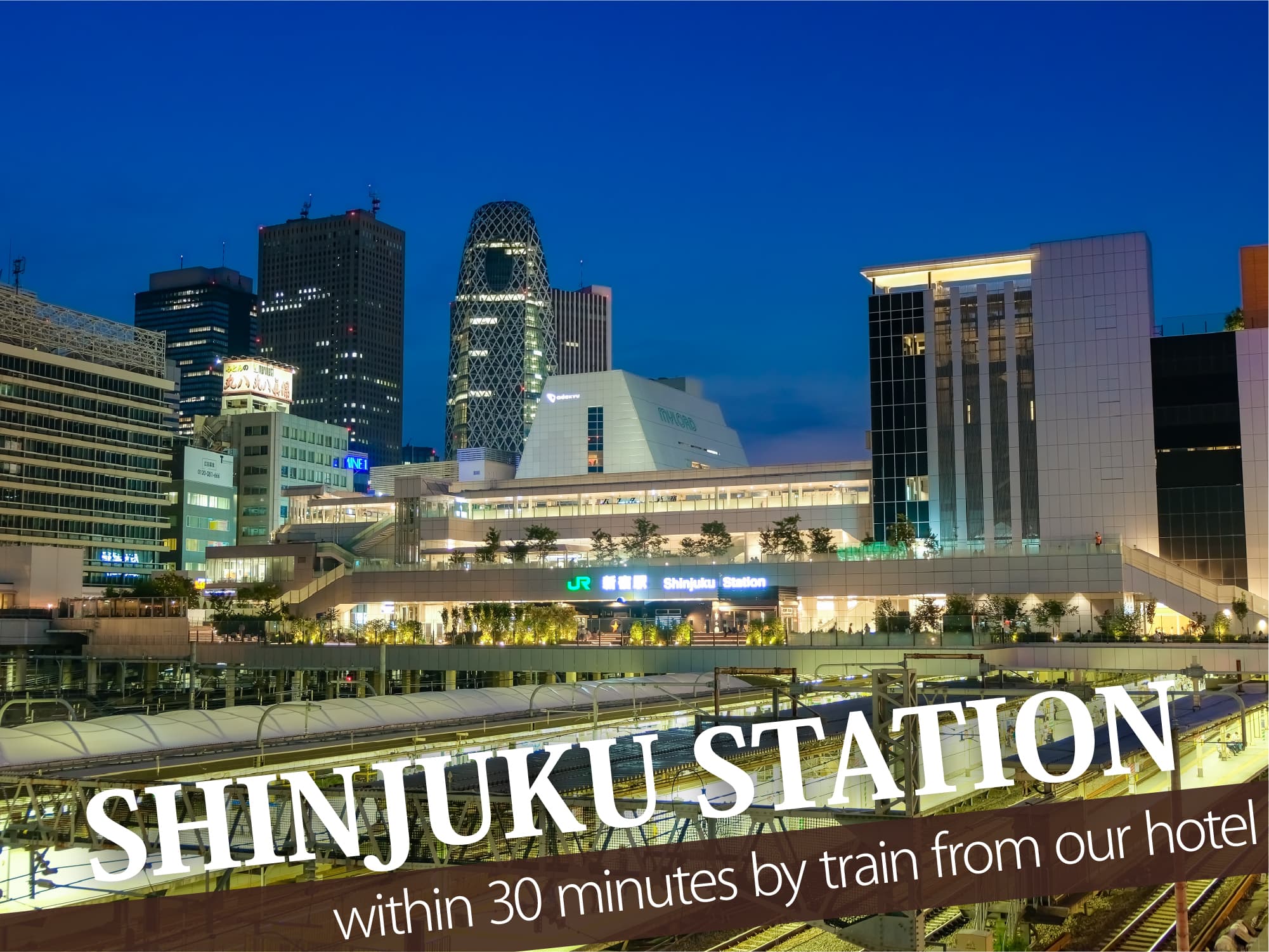 Shinjuku Station（新宿駅）