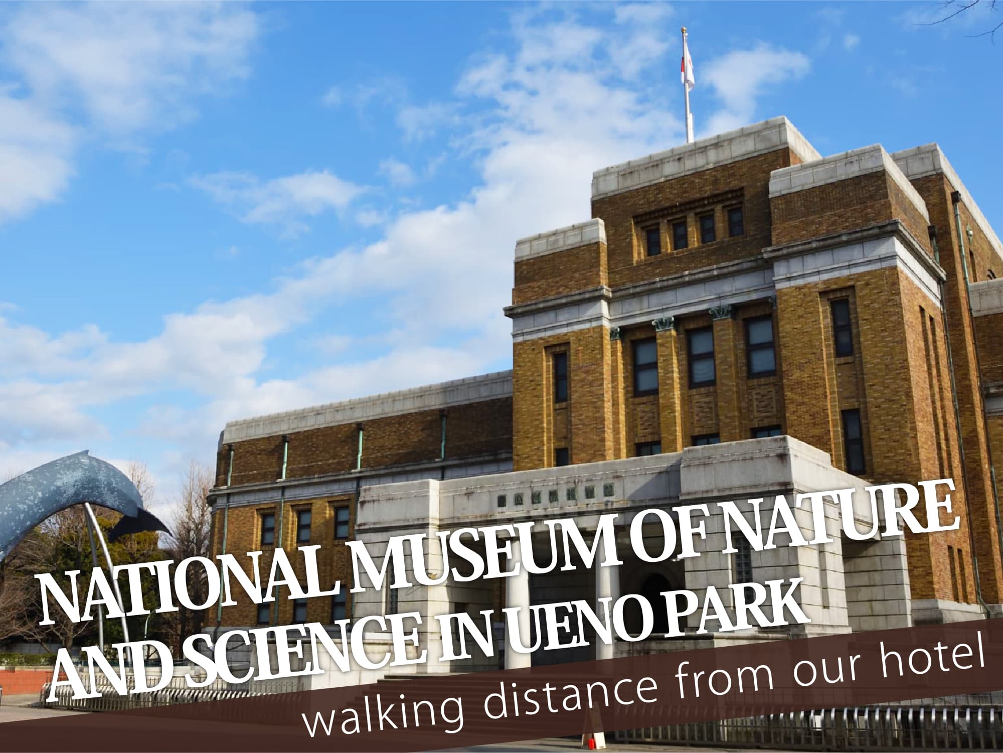 National Museum of Nature and Science（国立科学博物館）