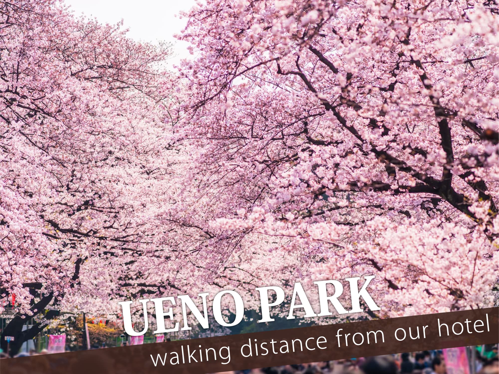 Ueno Park（上野公園）
