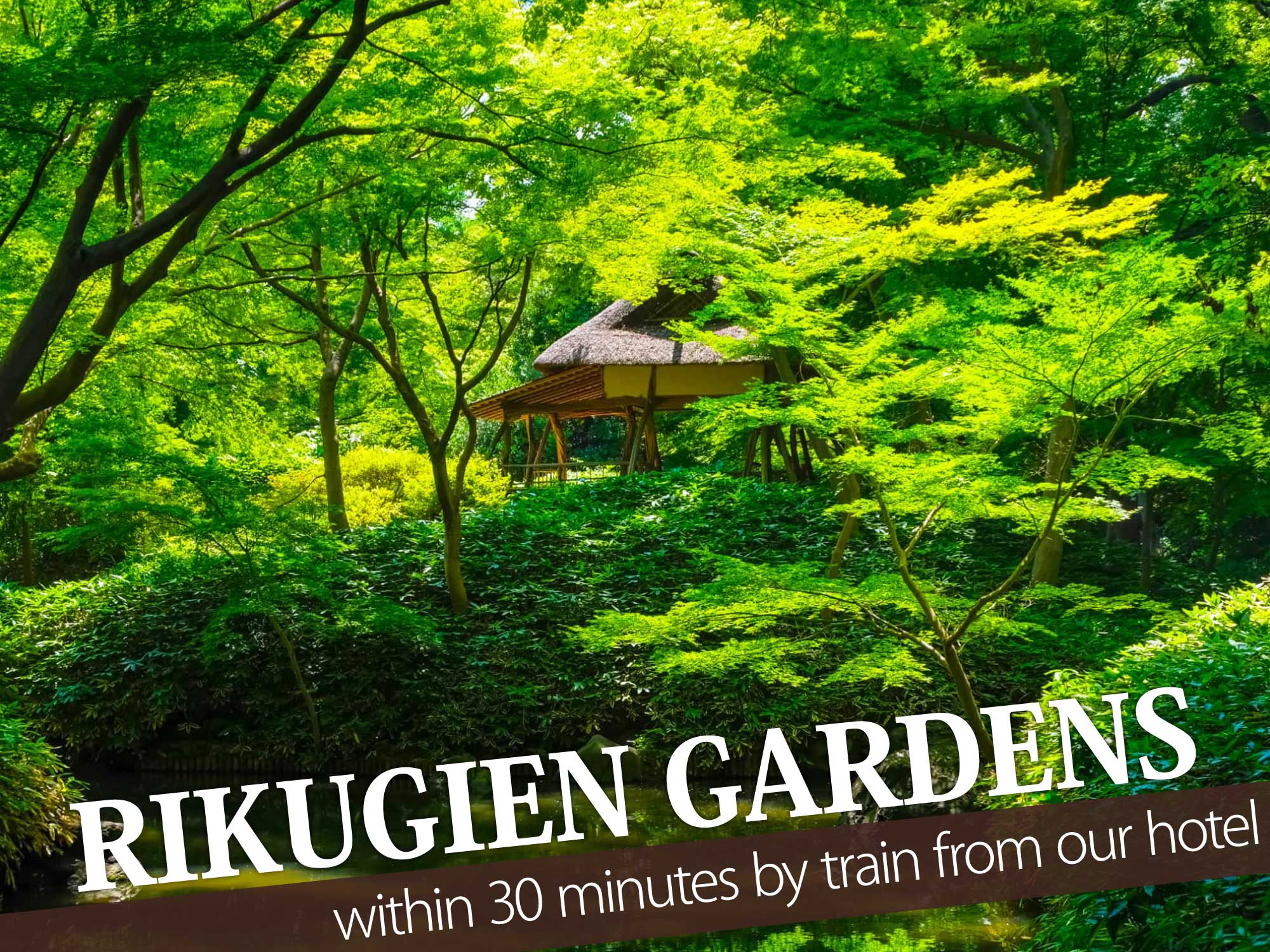 Rikugien Gardens（六義園）