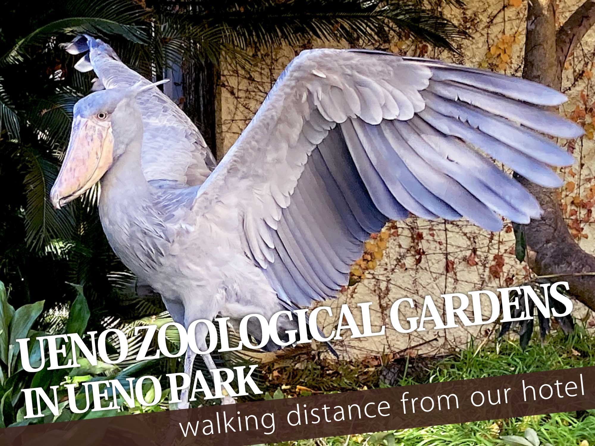 Ueno Zoo（上野動物園）