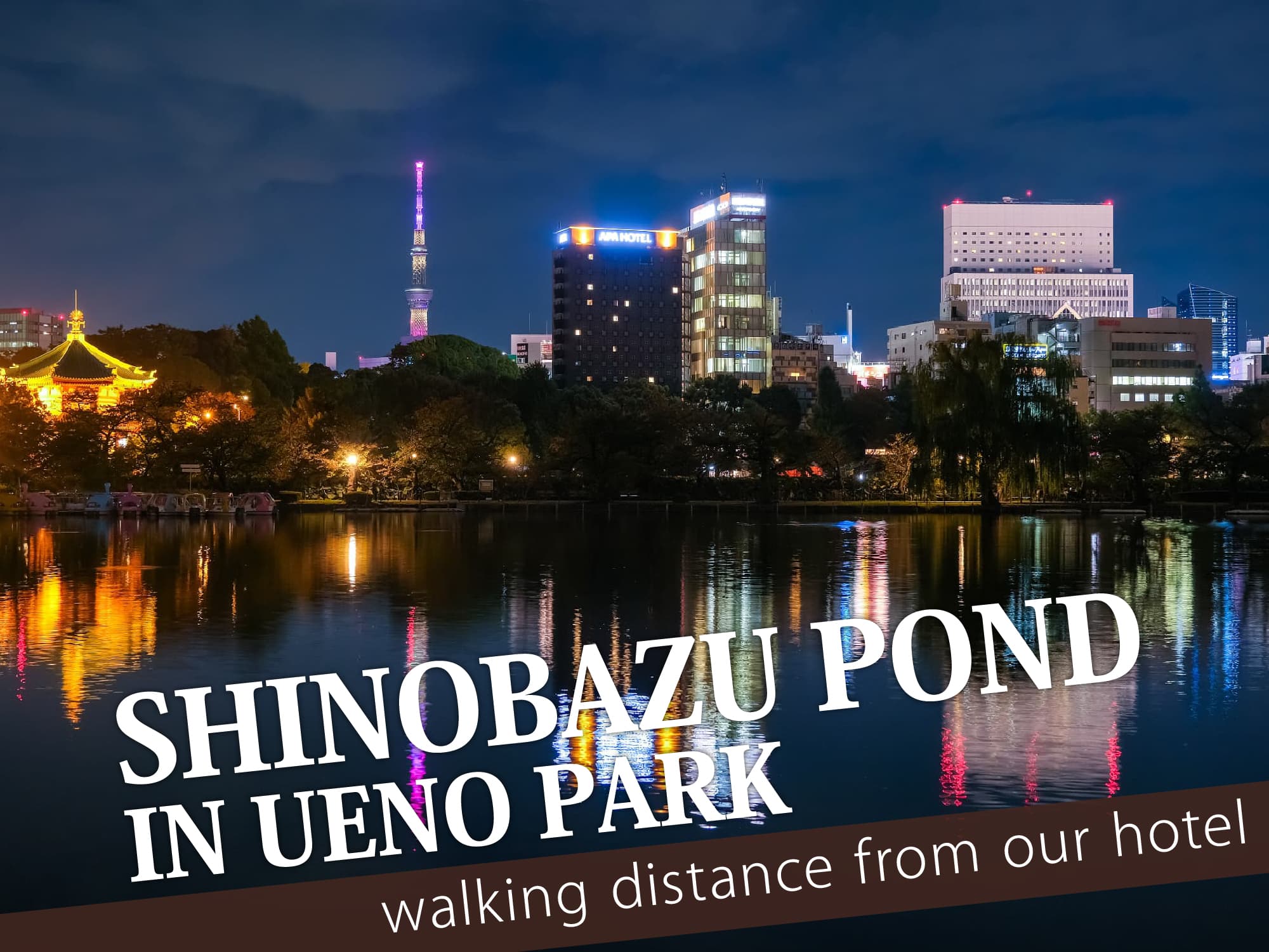 Shinobazu Pond（不忍池）