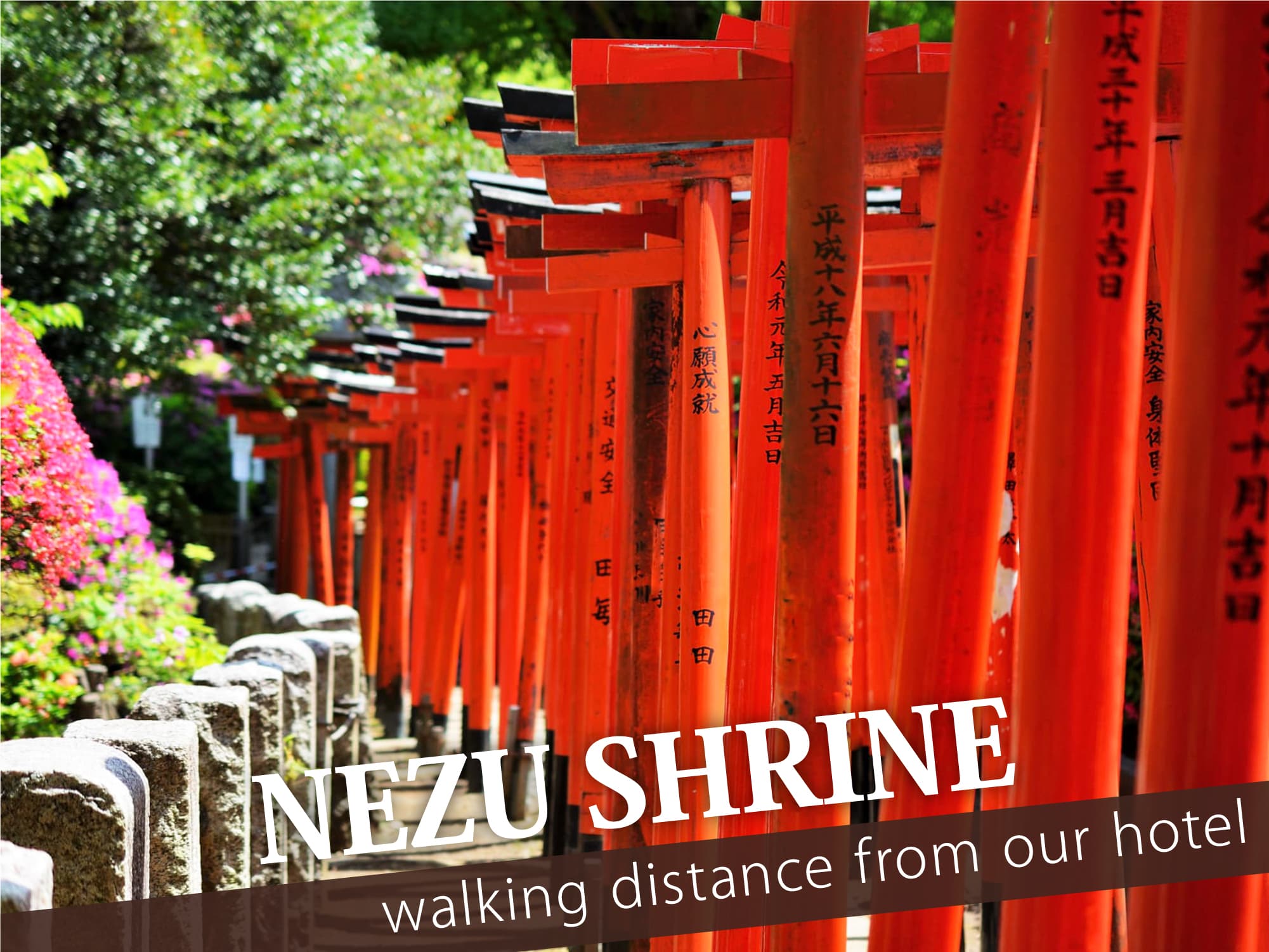 Nezu Shrine（根津神社）