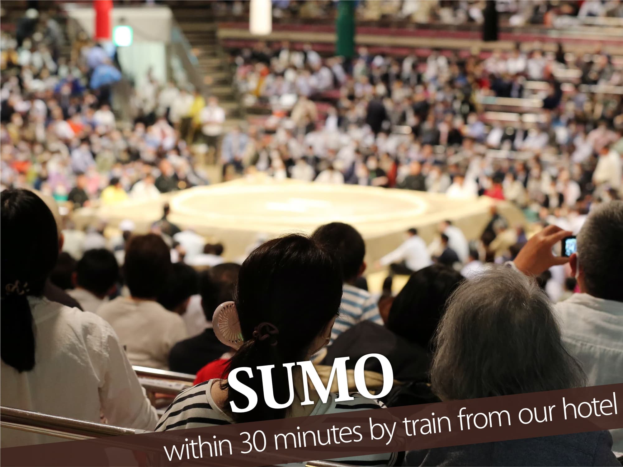 Sumo（相撲）