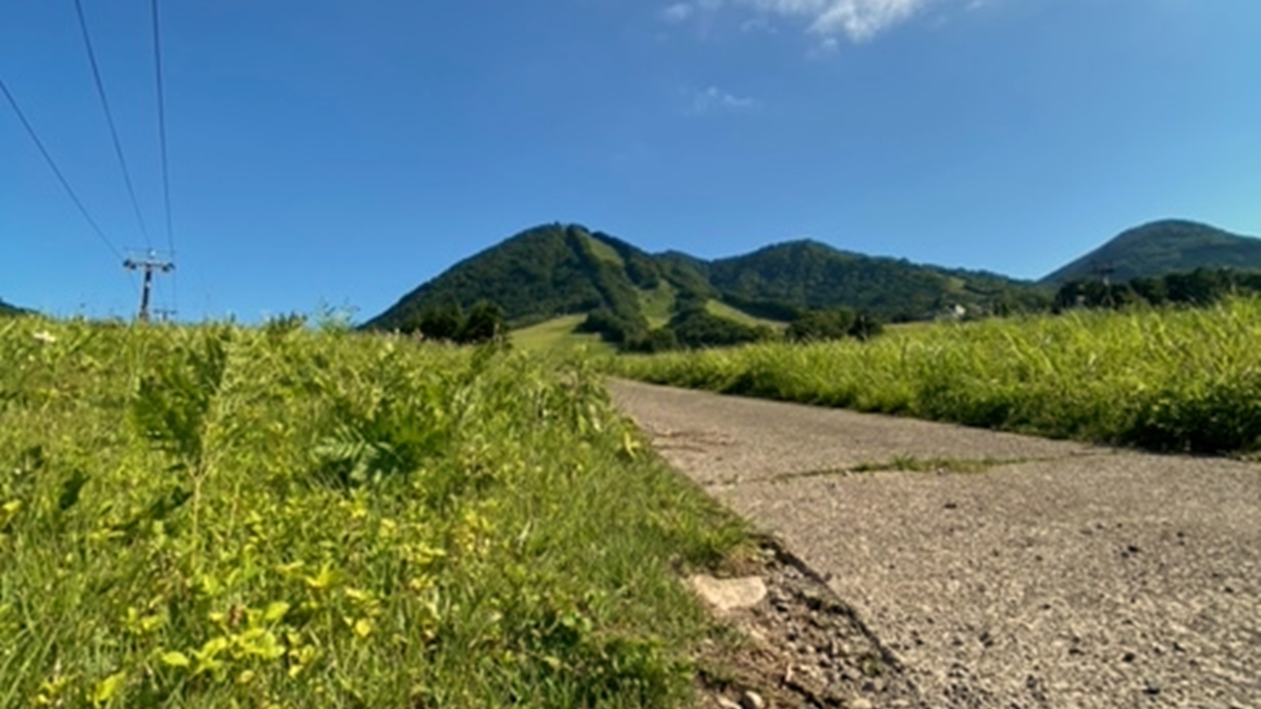 夏　周辺景色