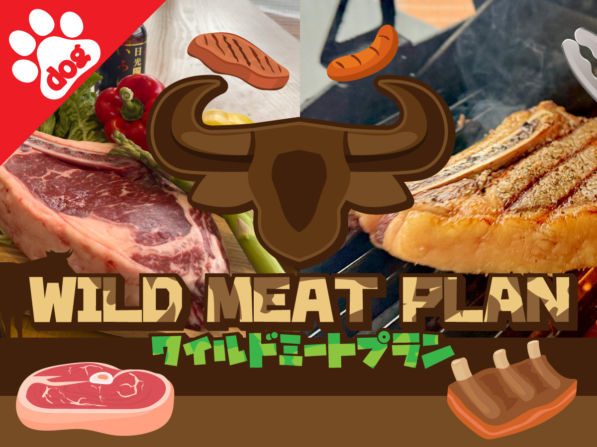 ［ペット同伴］★ワイルドミート BBQプラン＜1泊2食付＞
