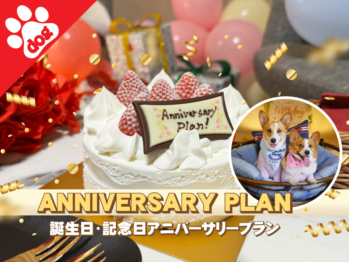 ［ペット同伴］★誕生日アニバーサリーBBQプラン＜1泊2食付＞
