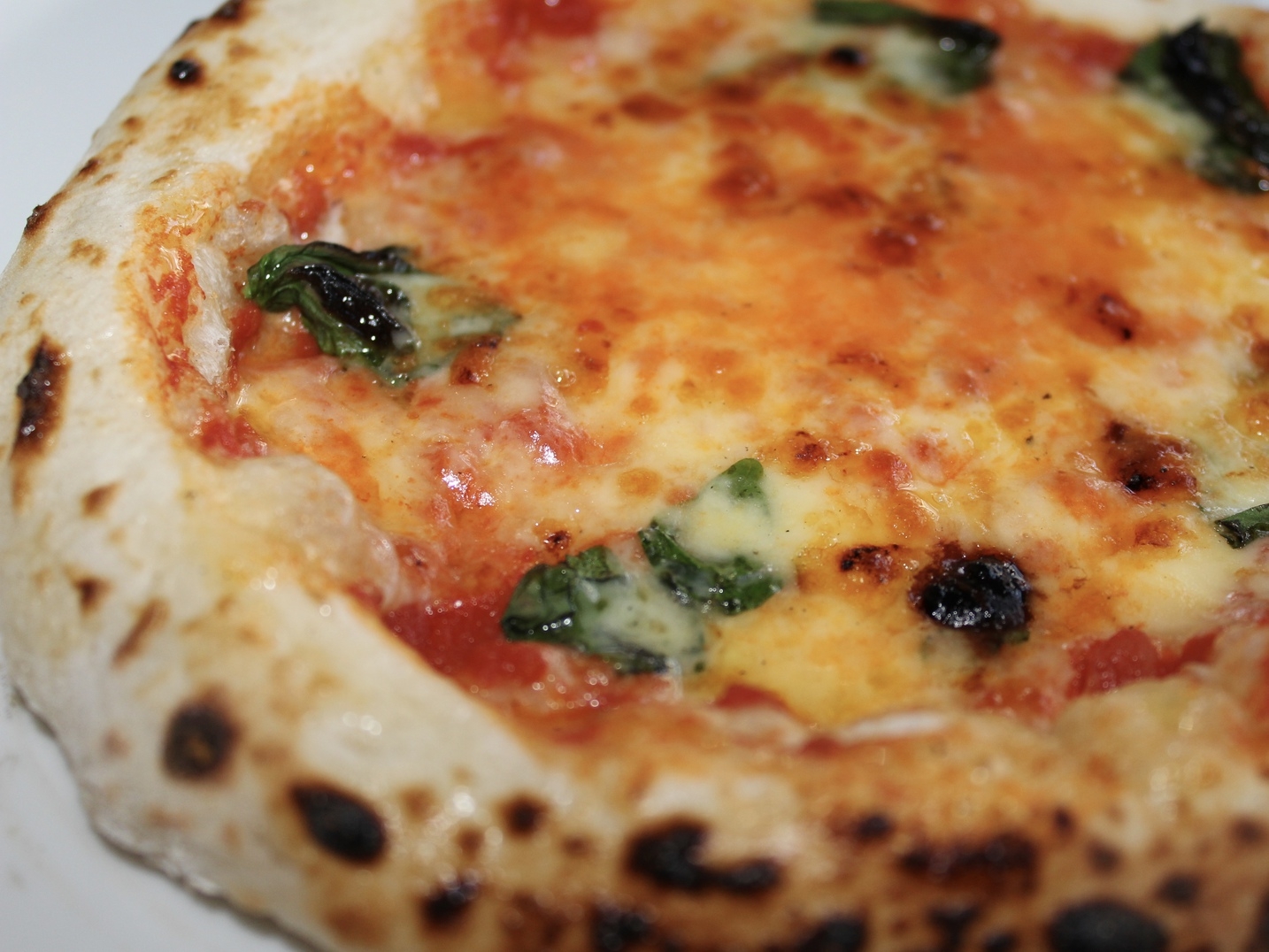 一日一組限定の宿でゆったり中伊豆で天然酵母ピザ食べ放題イタリアンコース焼き立てワッフル付ワンコもOK